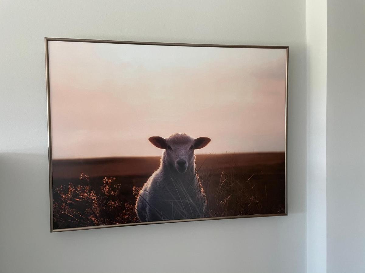 Apartmán Strandnest Wyk auf Föhr Exteriér fotografie